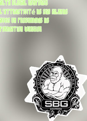 Informations sbg global